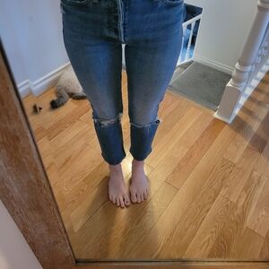 Mother tomcat Seriously Truce size 24